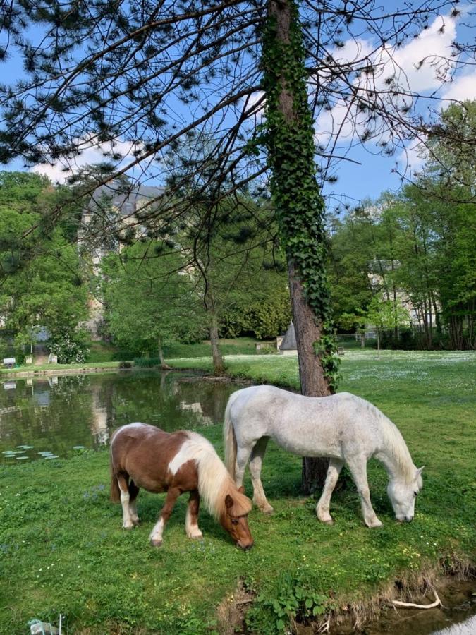 Gite Familial Chateau La Roche Racan Saint-Paterne-Racan Ngoại thất bức ảnh